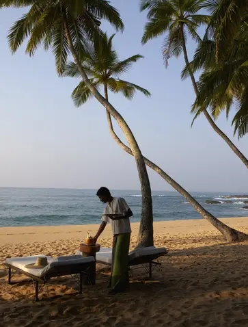 A guest reads beneath a leaning palm tree on Amanwella's sandy beach, with calm waters beyond.