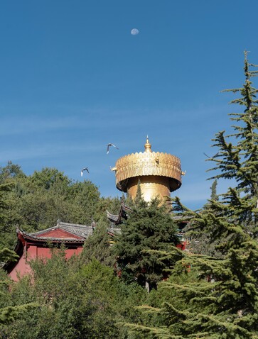 大研安缦度假村中一座金色圆顶建筑矗立于绿树之间，清晨阳光映照其上。