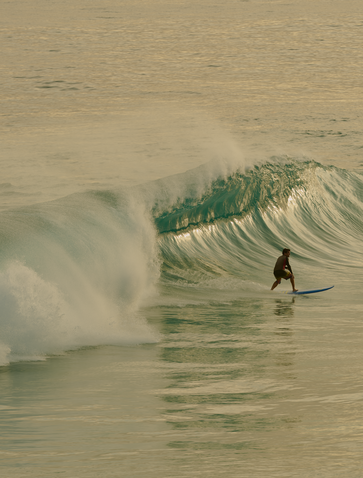 Surfer riding a wave at Amanera resort, Dominican Republic.
