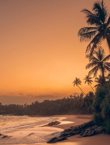 Sunset over Amanwella's silent beach with palm trees silhouetted against golden sky.