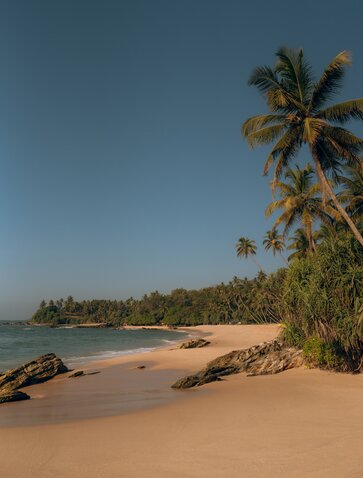 Amanwella's quiet beach with golden sand, calm waters and palm trees under clear skies.