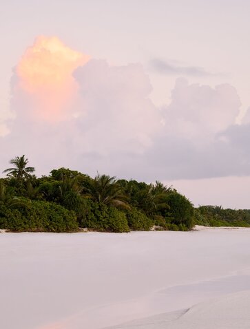 Amanpulo's island shoreline at dawn, with tropical vegetation and calm waters beneath a soft sky.