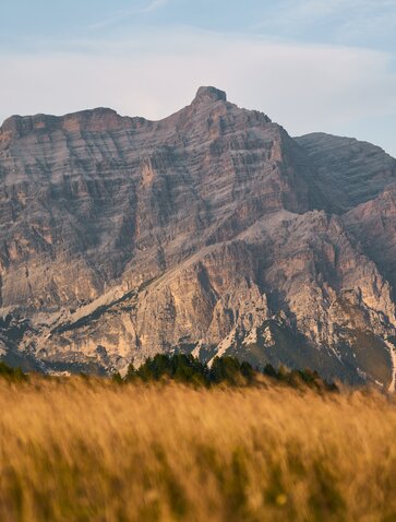 Meadow grasses frame a striped mountain peak at Aman Rosa Alpina resort, Italian Alps.