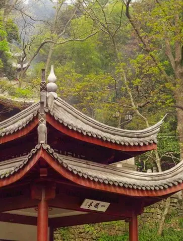 永福寺亭阁坐落于翠绿树木之中，红色飞檐与金色装饰在法云安缦度假村内闪闪生辉。