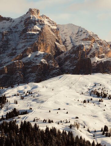 Snowy Alpine peaks and forested slopes at Aman Rosa Alpina resort, Italy.