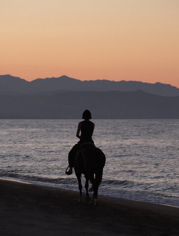 Silhouetted rider on horseback at the water's edge during sunset, Amanvari estuary.