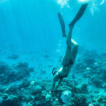 Diver exploring coral reef at Amanwana