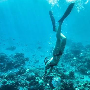 Diver exploring coral reef at Amanwana