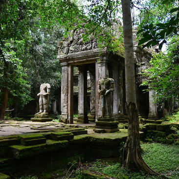 Moss-covered stone pavilion surrounded by forest at Amansara, Cambodia.