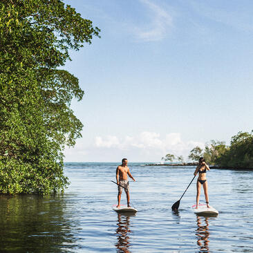 Two people paddle boarding on calm water at Amanera, surrounded by coastal mangrove vegetation.