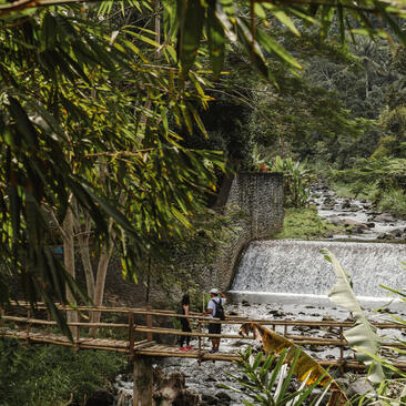 Wooden bench beneath towering trees at Amankila, overlooking stone pathway.