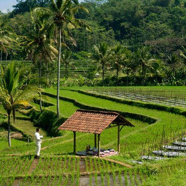 Wooden platform overlooking rice paddies at Amanjiwo, with tropical palms and lush greenery.