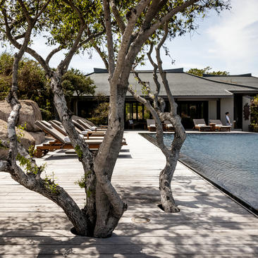 Residence pool area at Amanoi with gnarled trees casting shadows across pale stone paving, Vietnam.