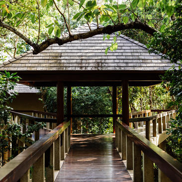 Wooden walkway beneath a tree-top casita at Amanpulo resort, surrounded by dense tropical foliage.