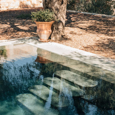 Sunlit plunge pool at Amanruya with stone steps and terracotta pot beside olive tree.