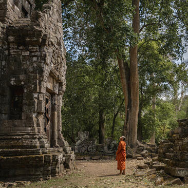 Buddhist monk in saffron robes walking past ancient temple ruins at Amansara, Cambodia.