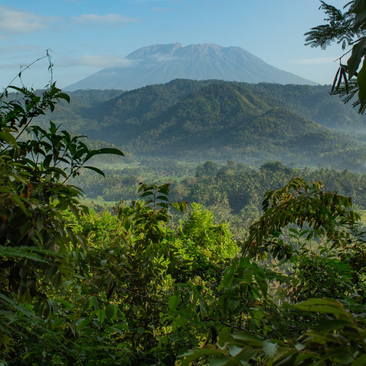 Verdant landscape with mountain vista at Amankila, Bali.