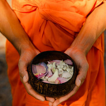 Buddhist monk in saffron robes holding a bowl of jasmine flowers during First-Light ceremony at Amansara, Cambodia.