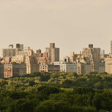 Manhattan skyline viewed from Aman New York Residences, with Central Park greenery in the foreground.