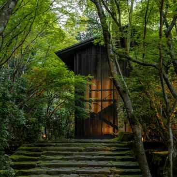 アマン京都のホタル棟外観。苔むした階段が鬱蒼とした竹林へ導く。