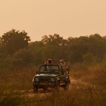 Aman-i-Khas, India - Experience, Safari