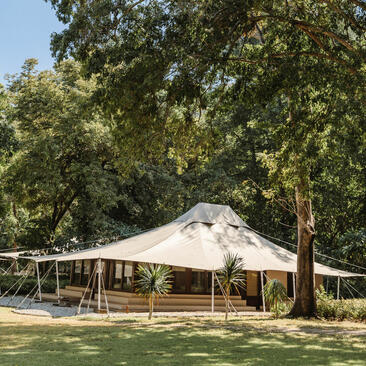 Cream canvas tent beneath towering trees at Amanwana, with wooden decking and open sides.