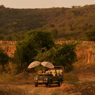Open-air safari vehicle parked beneath trees in the arid landscape of Aman-i-Khas.