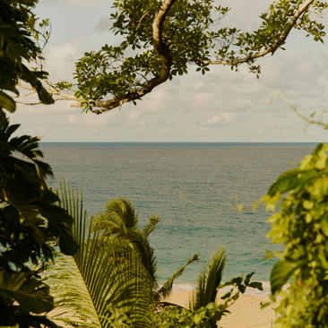Bay View Pool Casa at Amanera resort, Dominican Republic, with tropical foliage framing turquoise waters.
