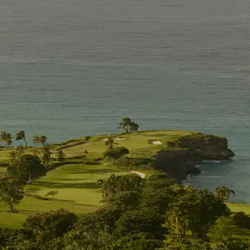 Coastal landscape at Amanera with verdant fields and scattered trees on a headland overlooking calm waters.