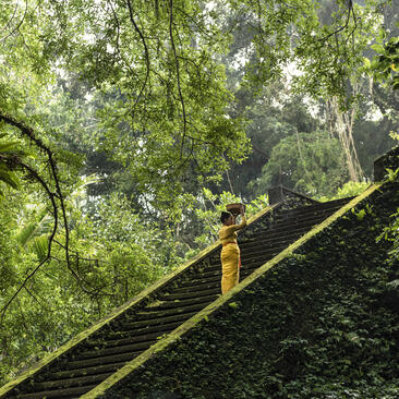 Stone temple stairs ascending through lush forest canopy at Amandari, Bali.