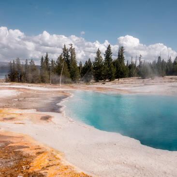 Turquoise hot spring surrounded by mineral deposits and evergreen forest at Yellowstone National Park, visible from Amangani.