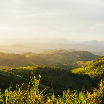 Highland landscape at Amantaka with misty mountains and golden grass in foreground.