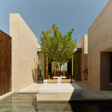 Desert pool suite courtyard at Amangiri, with plunge pool, green tree, and cream-coloured architecture.