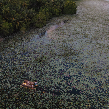 Shallow lotus lagoon at Amanwella, Sri Lanka, with a lone boat on still water surrounded by lush vegetation.