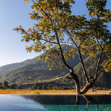 Heated infinity swimming pool at Aman's Punakha lodge in Bhutan, overlooking mountain valley at dusk.