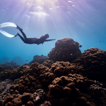 Amanpulo, Philippines - Experience