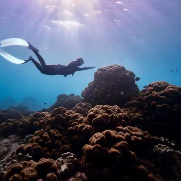 Amanpulo, Philippines - Experience