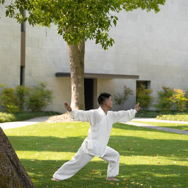 Tai chi class at Amanyangyun, with practitioner in white clothing performing a pose beneath a tree.