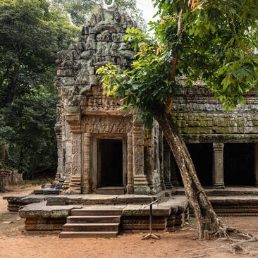 Ancient stone temple entrance overgrown with vines at Ta Prohm, Angkor, explored on activities from Amansara.