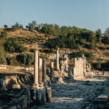 Ancient ruins along the coastline at Amanruya, Turkey, with forested hillside beyond.