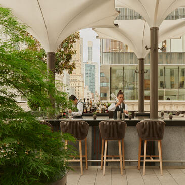アマン ニューヨークのテラス席で、天井の高い空間に木製カウンターと緑の植物が配置されたホテルのダイニングエリア。
