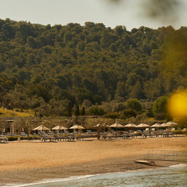 アマンゾイ リゾートのビーチクラブ。松林に囲まれた砂浜と穏やかな海。