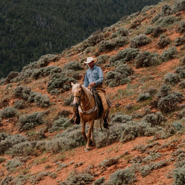 Rider on horseback traversing a sagebrush-covered hillside at Amangani, Jackson Hole.