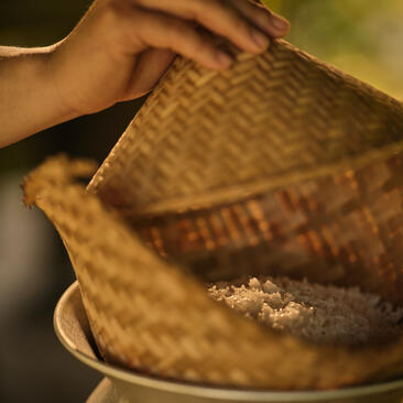 Hand holding woven basket filled with rice at Amantaka, Laos.