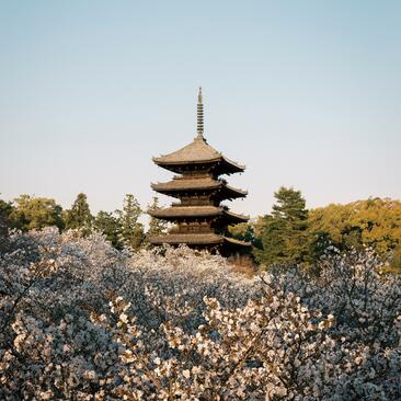 Aman Japan Journey