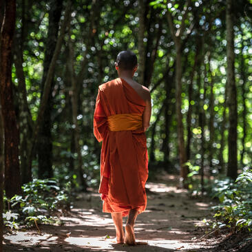 Amansara, Monk led forest walking