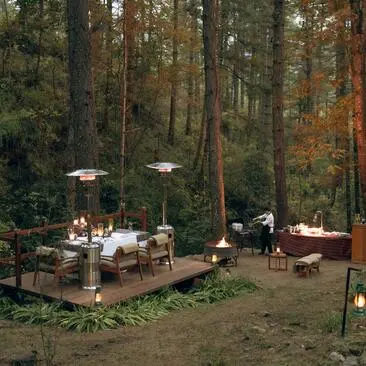 Forest clearing at Amankora Thimphu with dining setup beneath tall trees and a stream nearby.