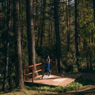 A woman practises yoga on a wooden deck surrounded by tall pine trees at Amankora's Thimphu Lodge.