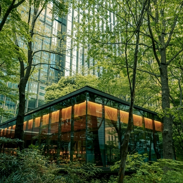 Forest Café exterior at Aman Tokyo, a modern wooden structure nestled amongst tall trees.