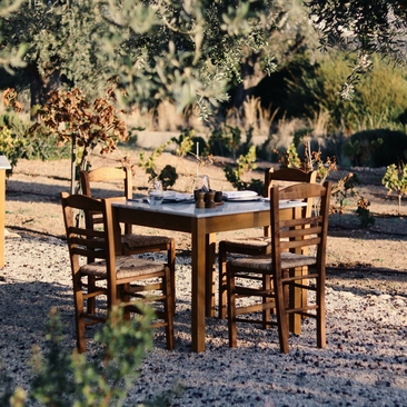 Dining table and chairs set beneath olive trees at Amanzoe resort in Greece.